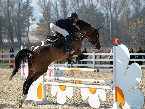 Building Player Loyalty: Strategic Contract Management Tactics for Football Clubs